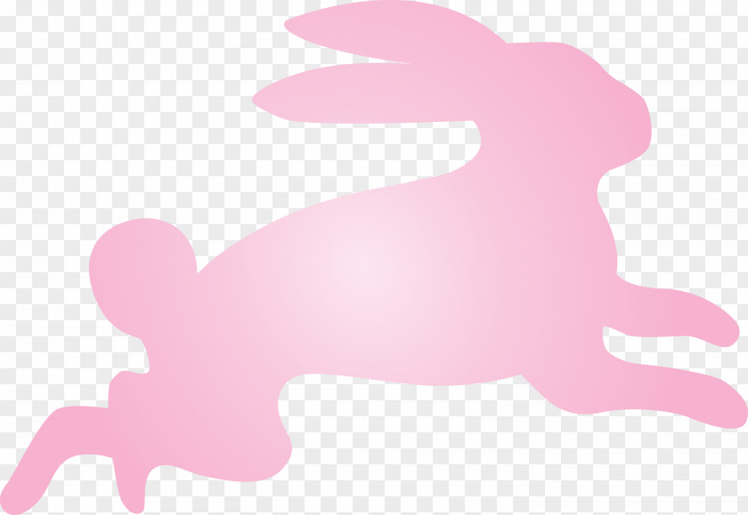 Easter Bunny Day Rabbit PNG