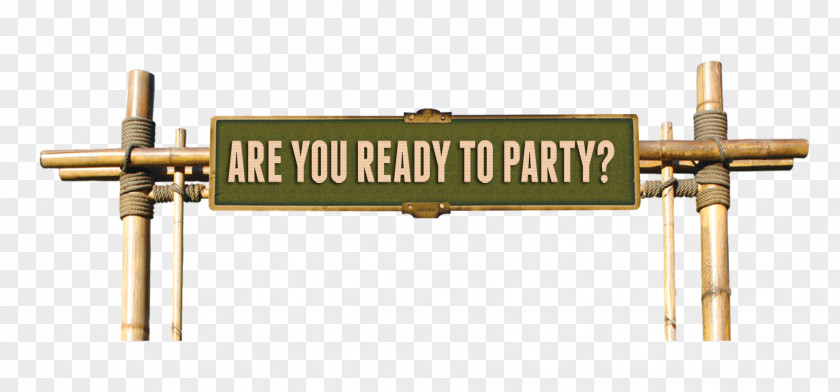 Party Poster Icon PNG