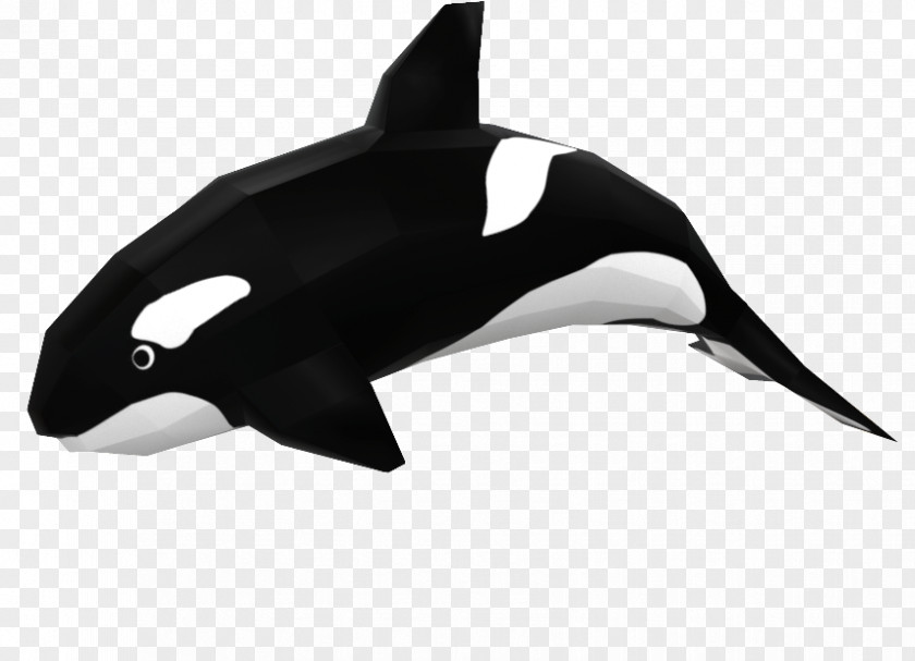 Shark Killer Whale White-beaked Dolphin Paper Drawing PNG