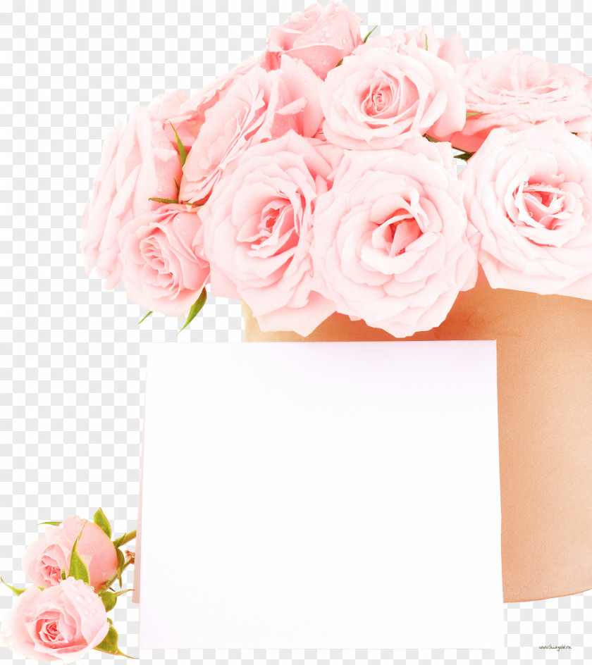 White Roses Stock Photography Flower Rose Wedding PNG