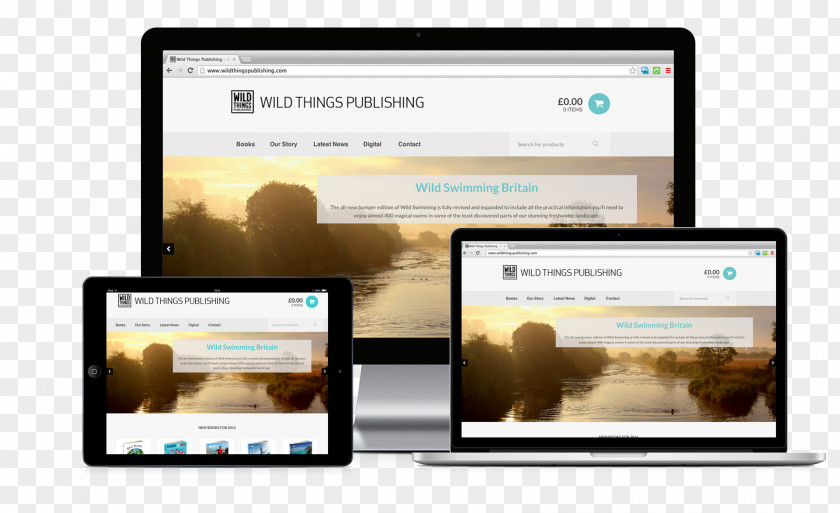 Wild Things Web Design Public Relations Publishing Information Digital Marketing PNG