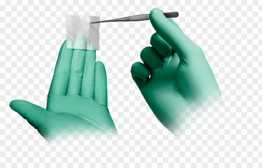 Amnion Tissue Fascia Allotransplantation Bone PNG