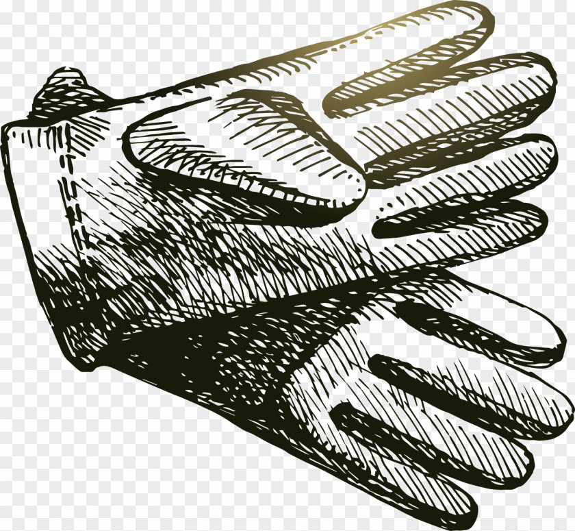 Black And White Gloves Vector Glove Euclidean Hand PNG