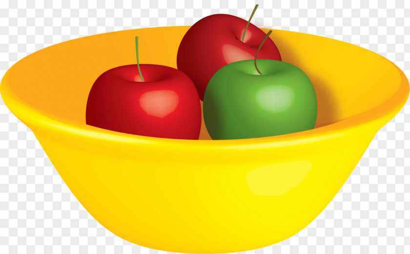 Bowl Tutorial Illustrator 3D Computer Graphics PNG