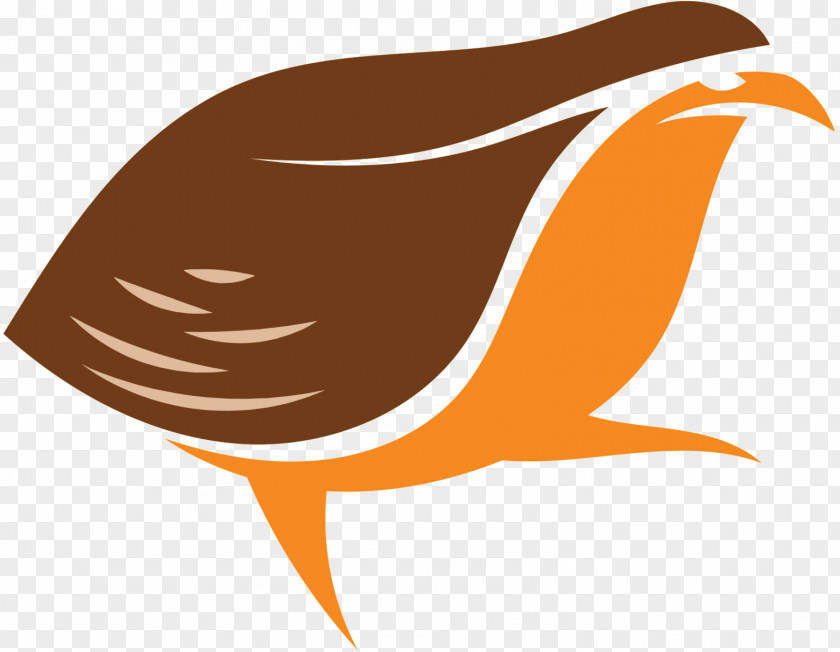 Clip Art Beak Fish Logo Fauna PNG