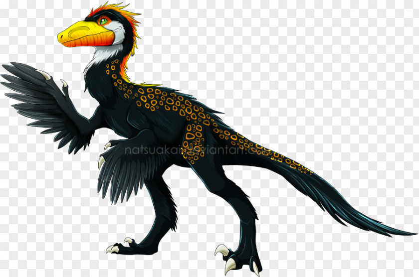 Feather Beak Velociraptor Wildlife Fauna PNG