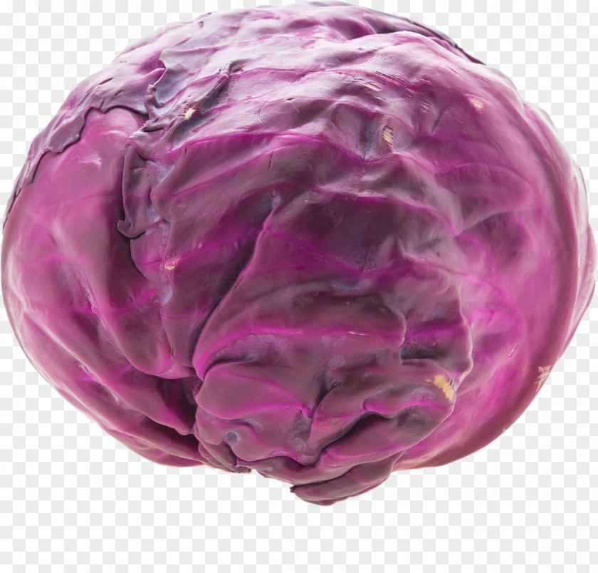 HD Cabbage Icon PNG