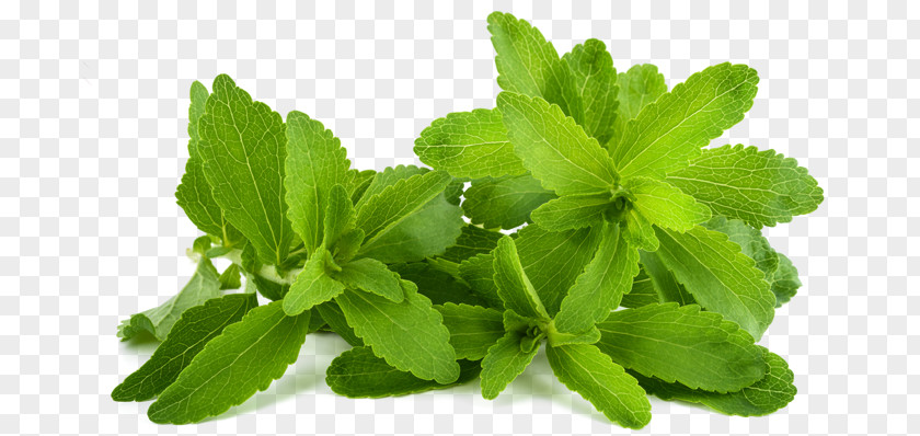 Sweetened Beverage Stevia Candyleaf Steviol Glycoside Sugar Substitute PNG