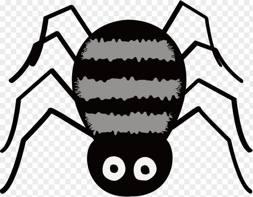 Arachnid Widow Spider Halloween PNG