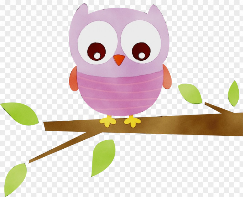 Bird Violet Owl Cartoon Branch Of Prey Clip Art PNG