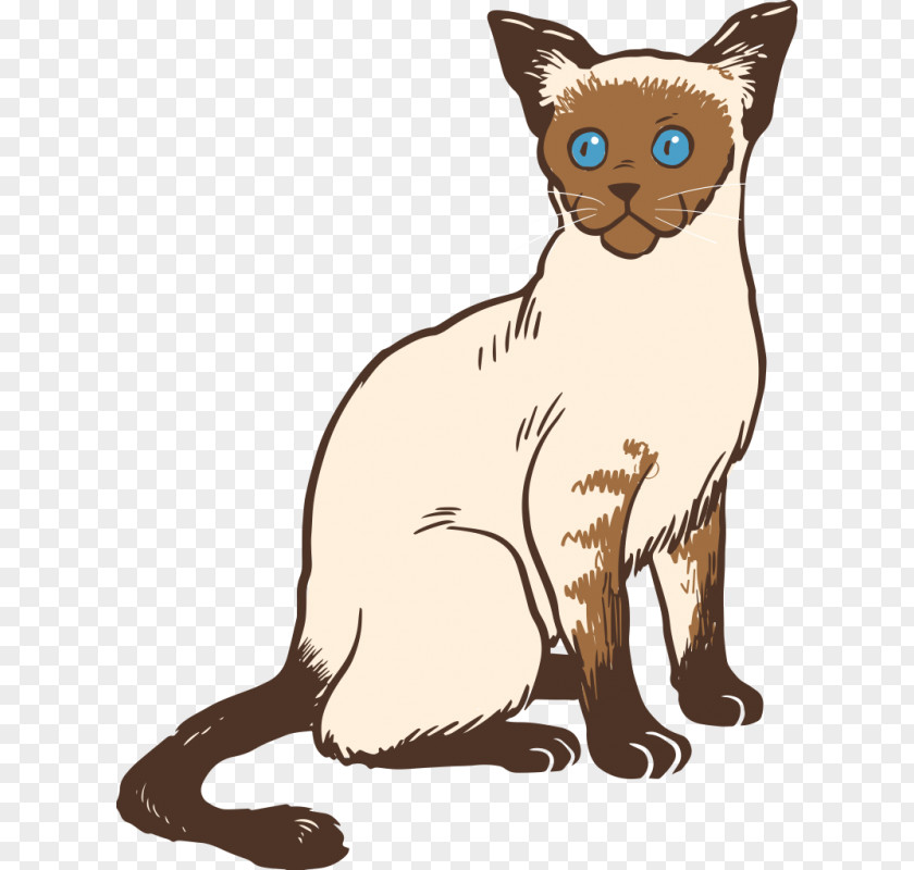 Kitten Siamese Cat Bengal Burmese Persian Manx PNG