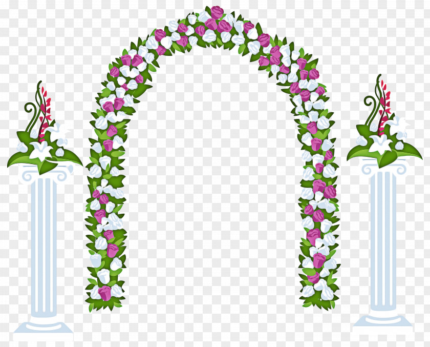 Plant Flower Floral PNG