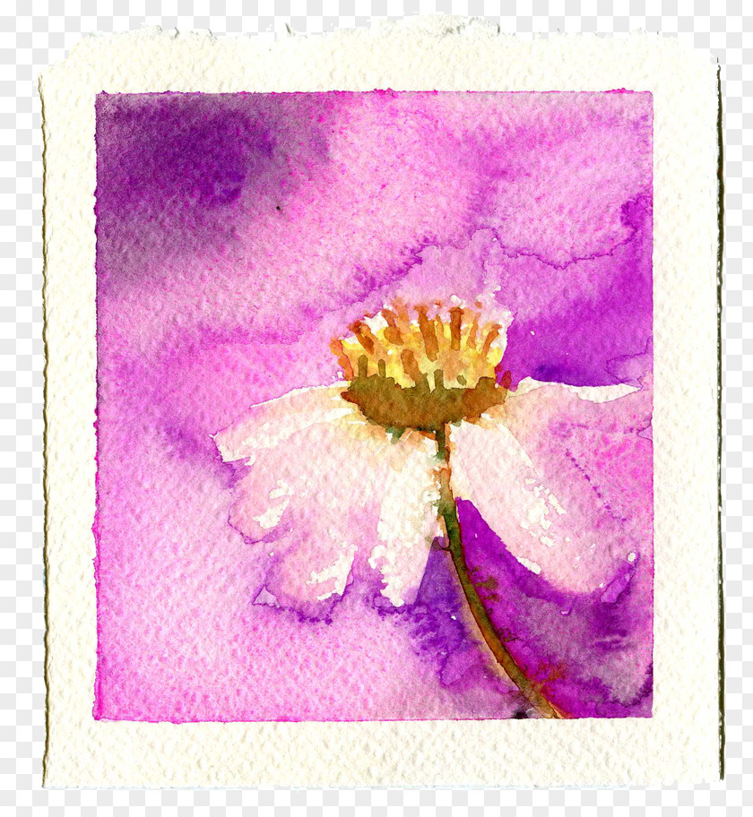 Acuarela Watercolor Painting Violet Lilac PNG