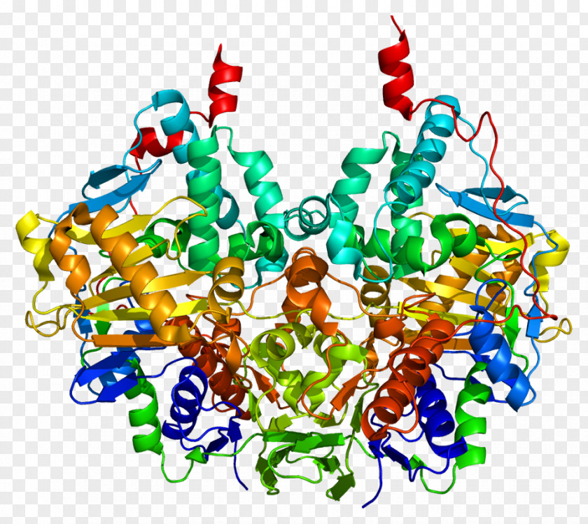 Data Structure Monoamine Oxidase B Inhibitor Neurotransmitter A PNG