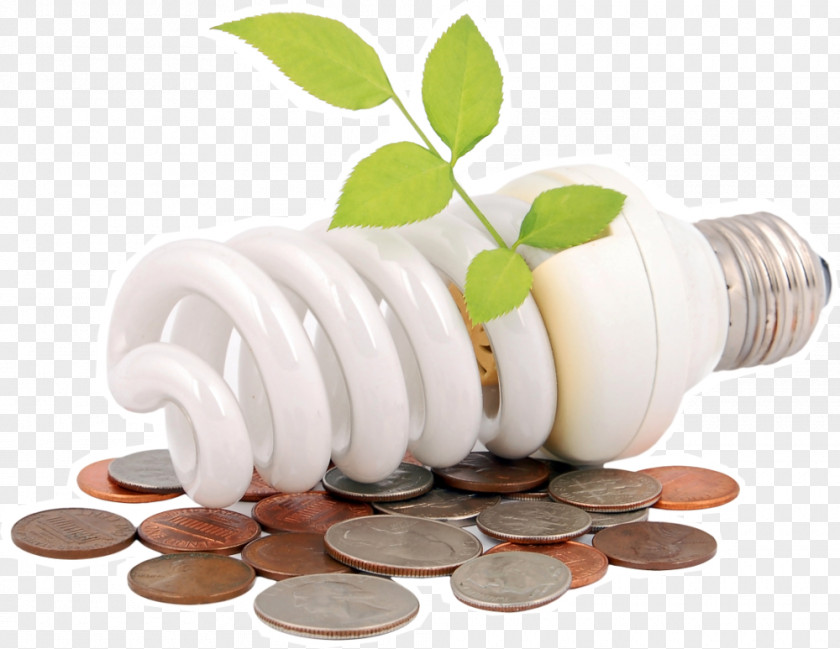 Energy Saving Light Bulbs Conservation Efficiency Renewable Electricity PNG