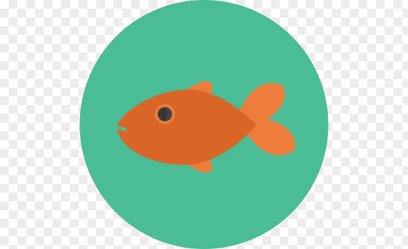 Fish Tank Aquatic PNG