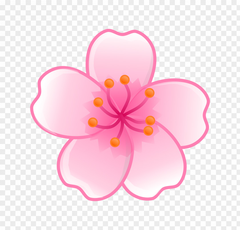 Flower National Cherry Blossom Festival Clip Art PNG