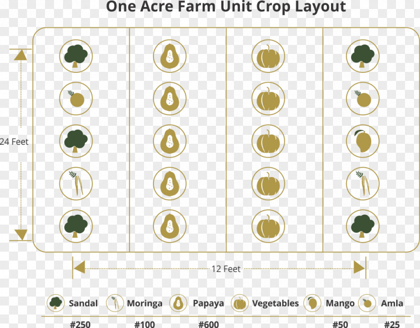 Organic Farming Line Angle Font PNG