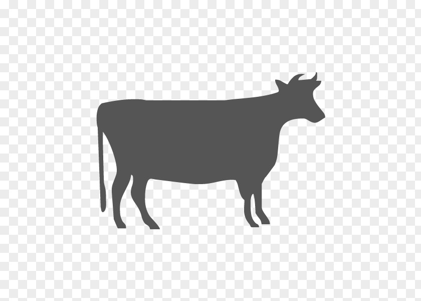 Silhouette Beef Cattle Stencil Dairy Photography PNG