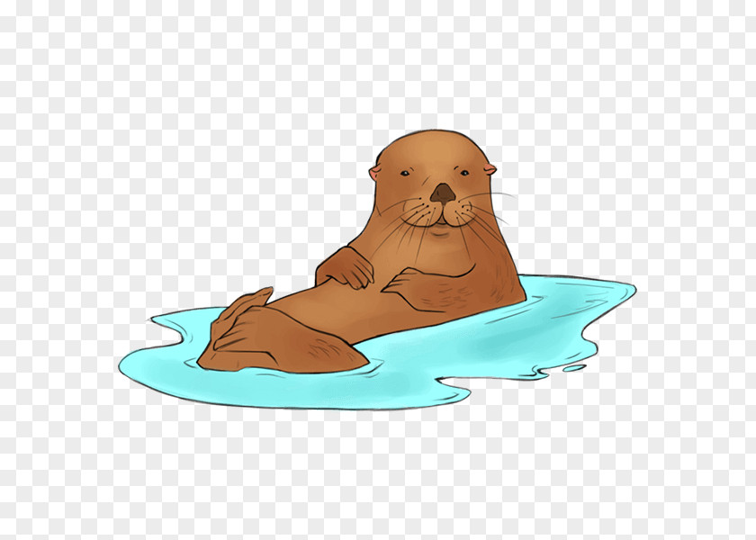 Walrus Sea Lion Bear Canidae Dog PNG