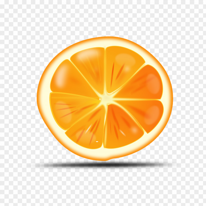 Orange Clip Art Vector Graphics Openclipart Download PNG