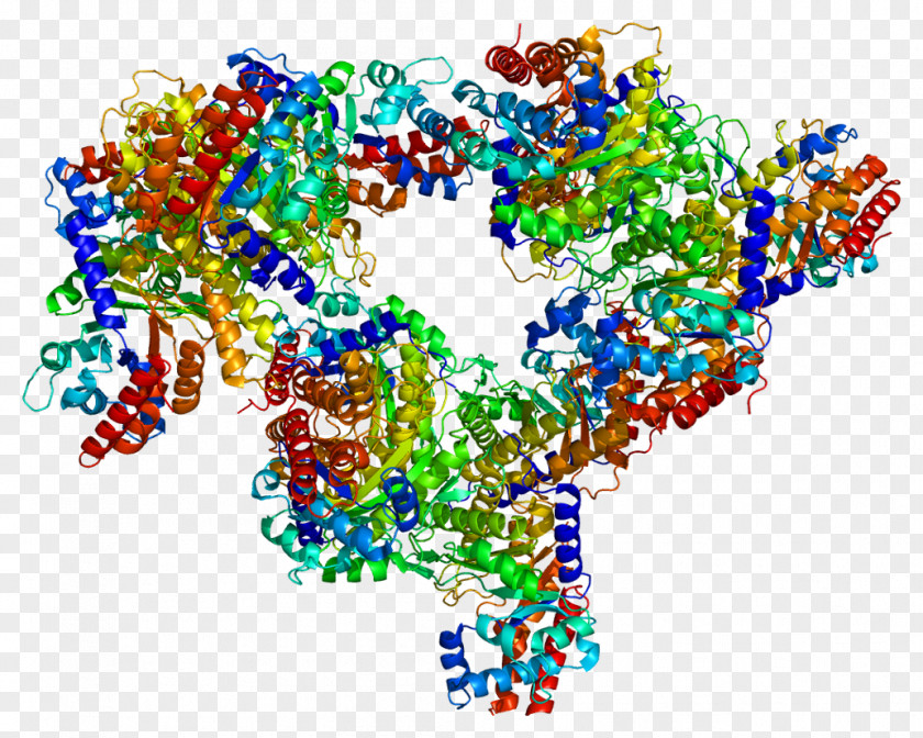 Tridimensional Fructose-bisphosphate Aldolase C A Fructose 1,6-bisphosphate B PNG