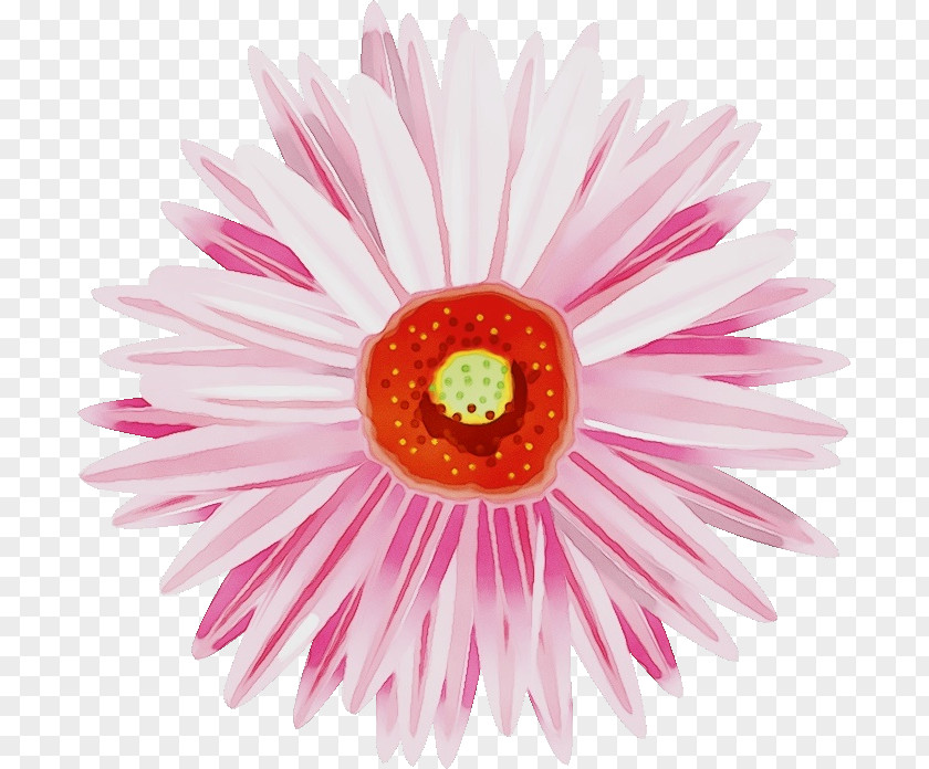 Artificial Flower PNG