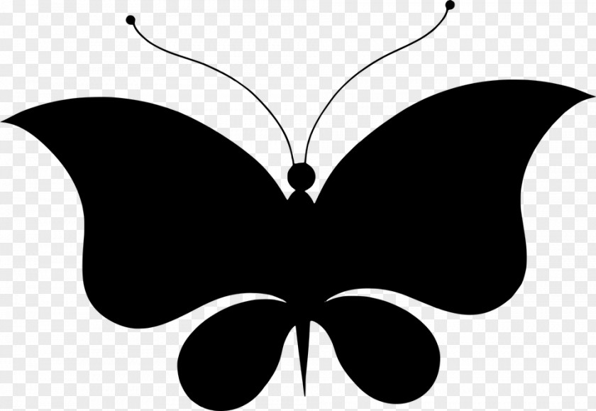 Butterfly Brush-footed Butterflies Insect Silhouette Clip Art PNG