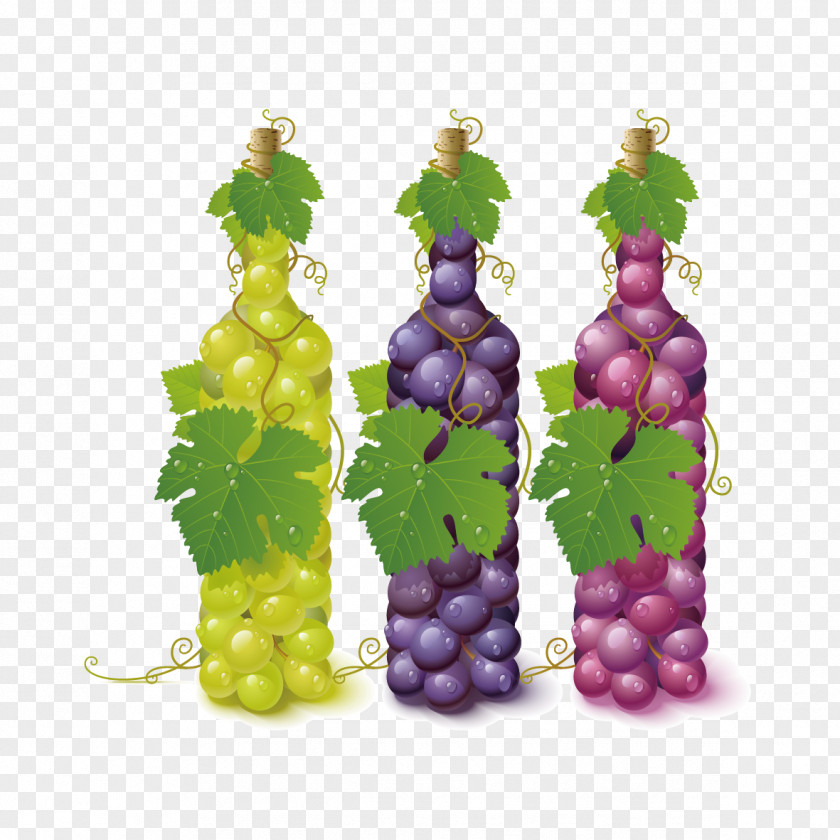 Creative Wine Common Grape Vine Leaves PNG