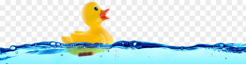 DUCK Rubber Duck Stock Photography Bathtub Toy PNG