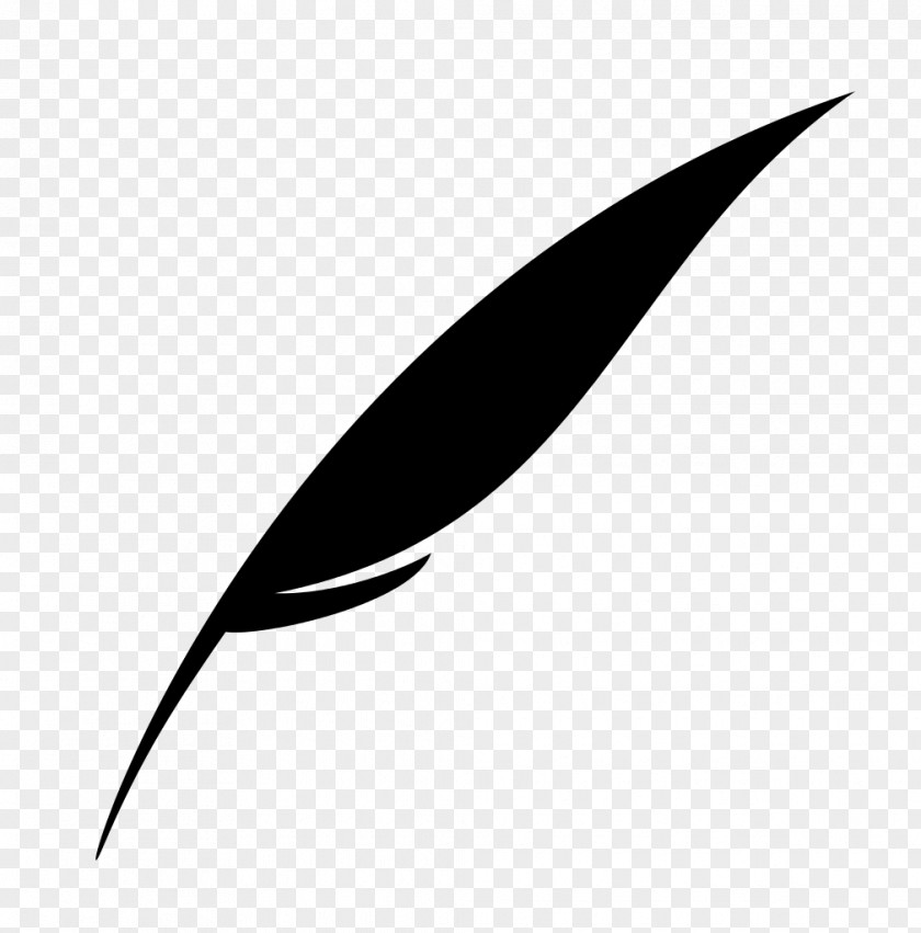 Feathers Vector Monochrome Photography Quill Corp Leaf PNG