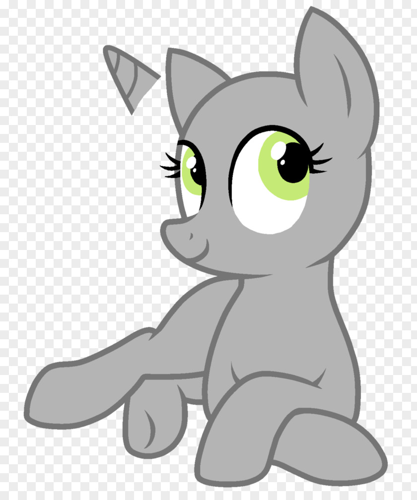 Horse Whiskers Pony Kitten Cat PNG