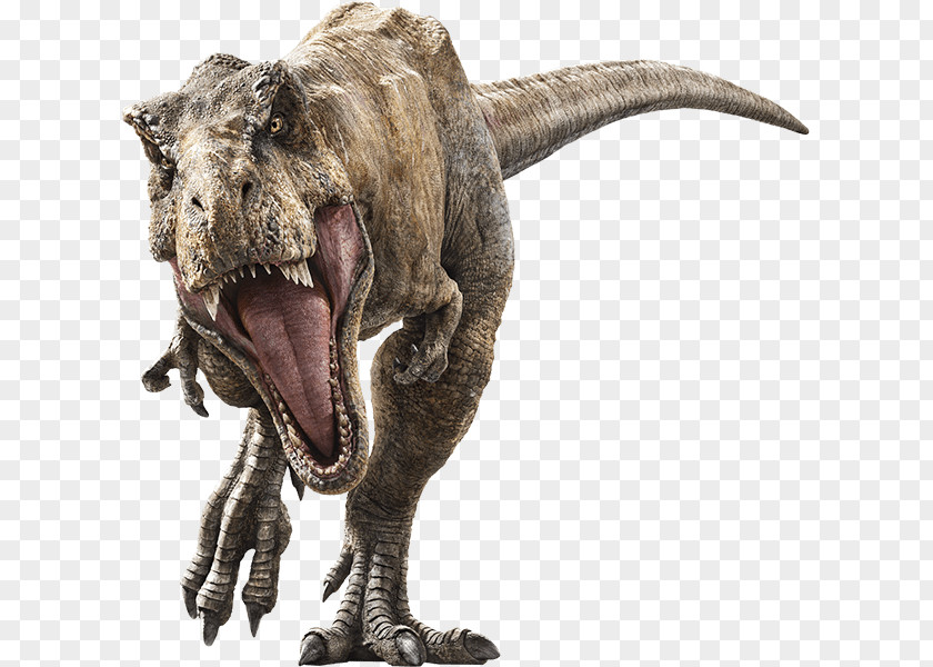 Jurassic World: Fallen Kingdom Tyrannosaurus Velociraptor Universal Pictures Park Baryonyx PNG