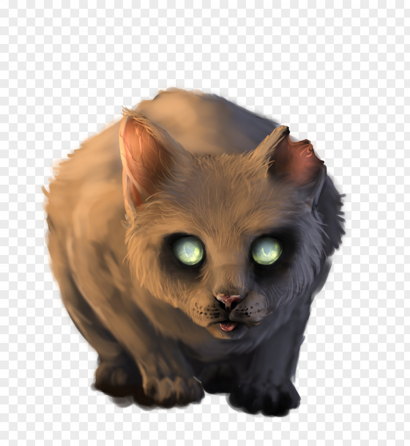Kitten Whiskers Domestic Short-haired Cat Zombie PNG short-haired cat Zombie, Bright-eyed clipart PNG