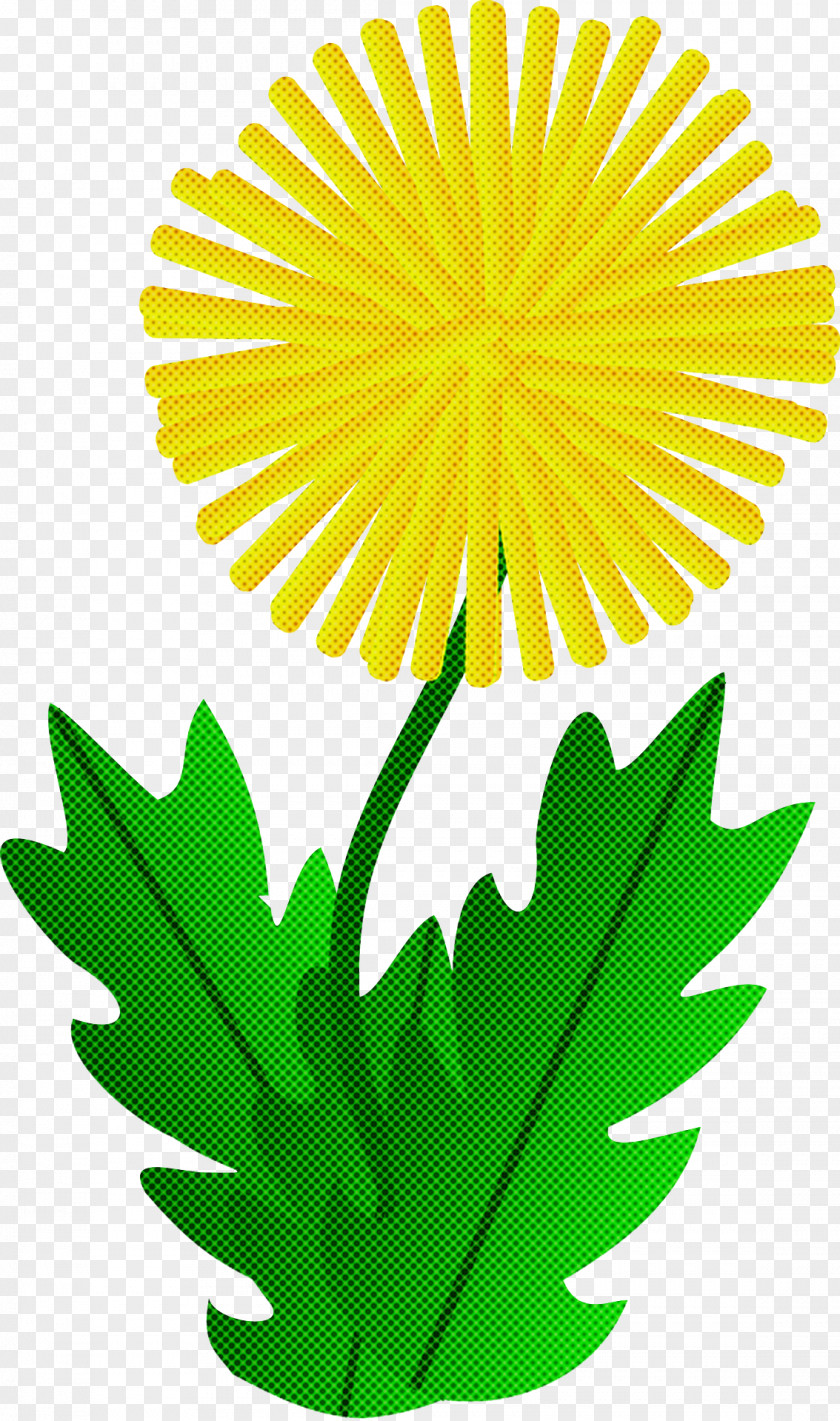 Yellow Leaf Flower Plant Dandelion PNG