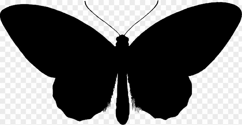 Butterfly Silhouette Clip Art PNG
