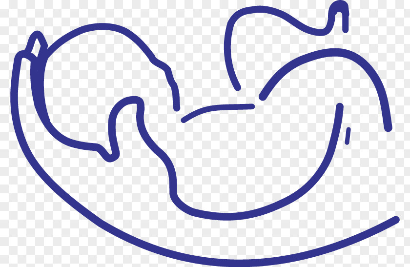 Child Clip Art Logo Gerber Baby Infant Vector Graphics PNG