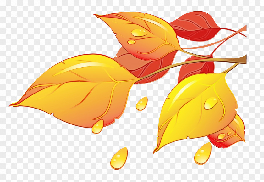 Plant Yellow Autumn Leaf Drawing PNG