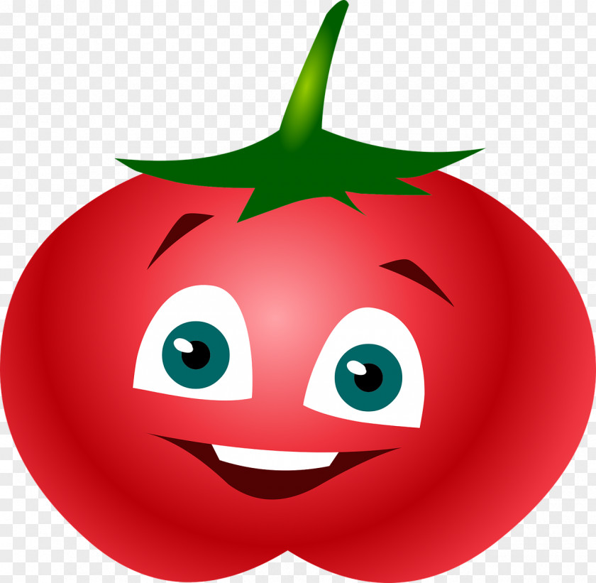 Tomato Growing Tomatoes Pizza Fruit PNG