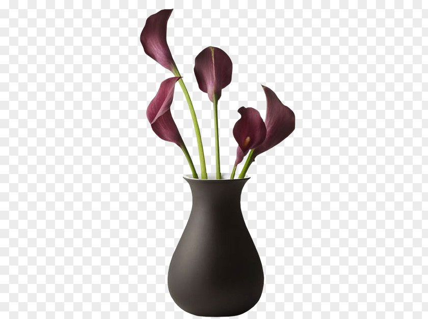 Vase Cut Flowers Television Blume PNG