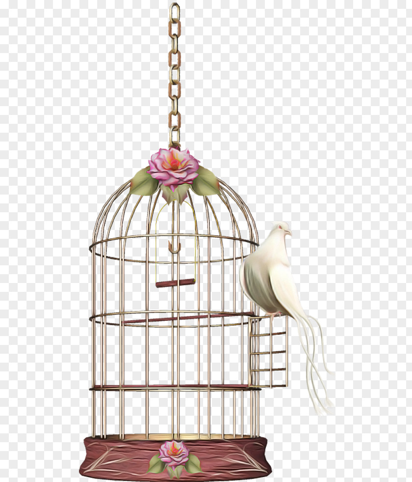 Cage Bird Supply Pet Ceiling Fixture PNG
