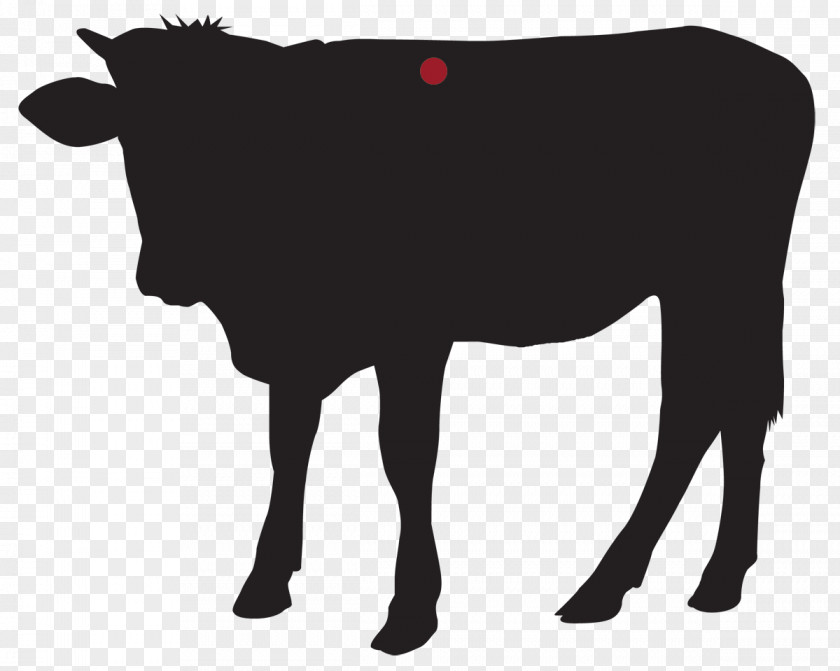 Bull Dairy Cattle Calf Ox PNG