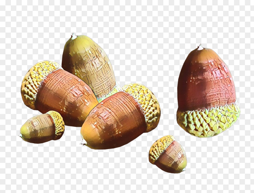 Hazelnut Seed Pineapple Cartoon PNG