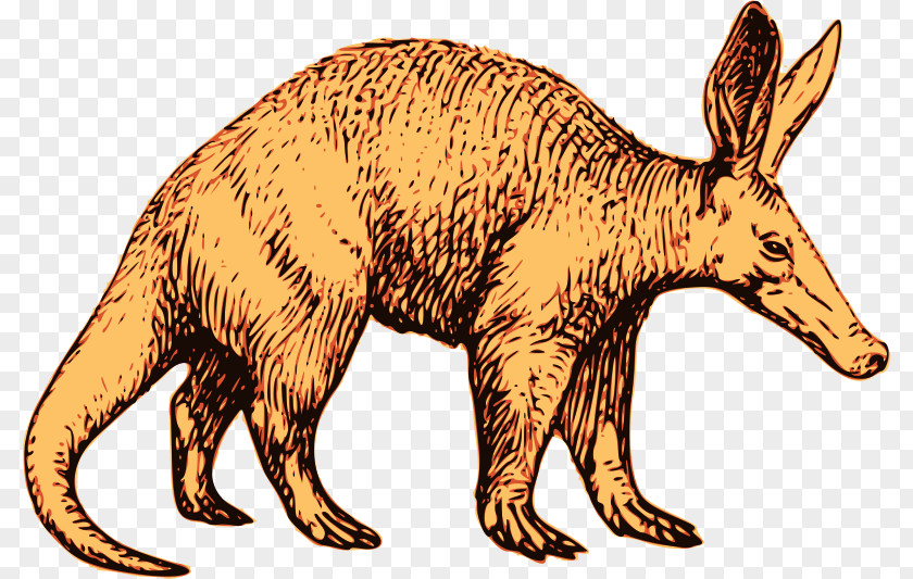 African Aardvark Anteater Clip Art PNG