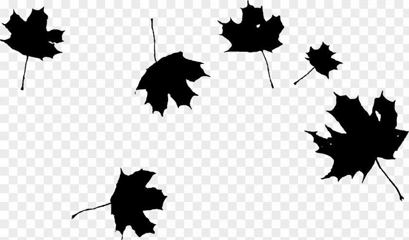 Autumn Leaf Color Clip Art PNG