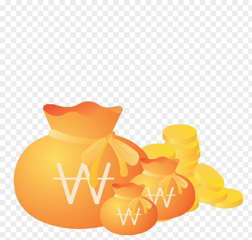 Gold Purse Bag Coin PNG