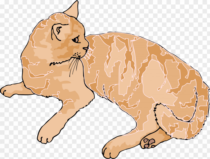 Kitten Siberian Cat Wildcat Tabby Clip Art PNG
