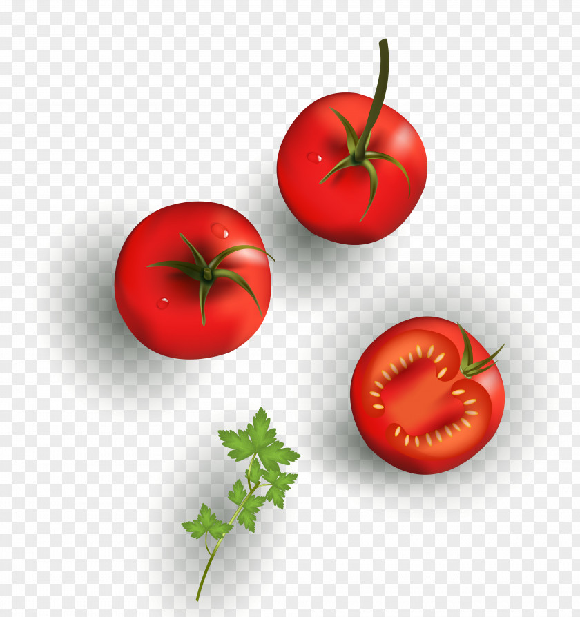 Vector Texture Cartoon Tomato Material Cherry Vegetable Drawing Food PNG