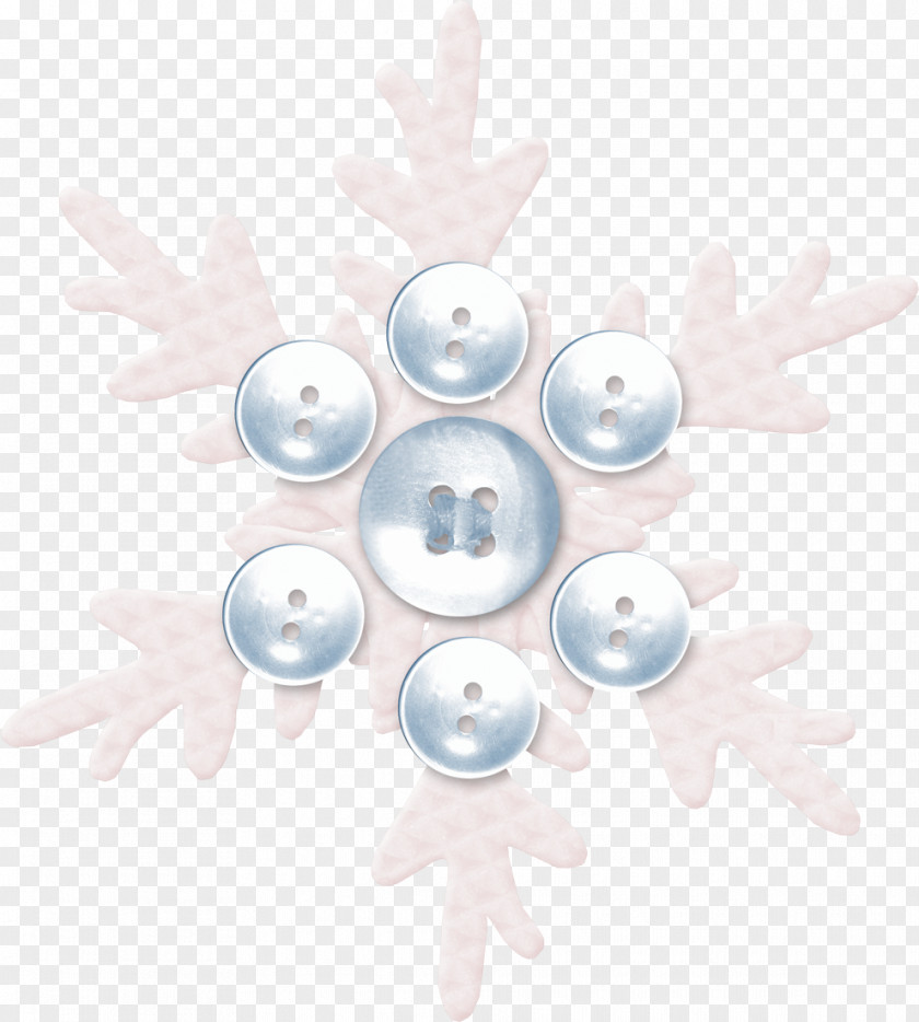 Beautiful Snowflake Buttons Button Download Icon PNG