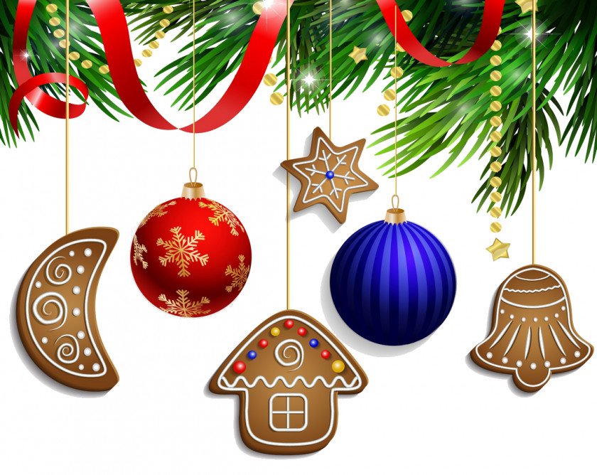 Conifer Christmas Eve And New Year Background PNG